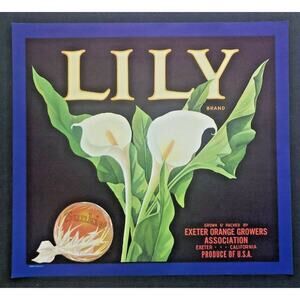 Vintage 1940's Lily Original‎ Sunkist Orange Crate Label Exeter, CA. USA WS8D